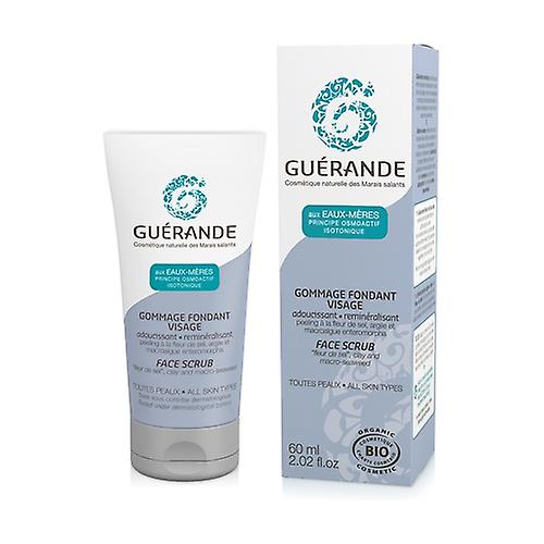 Melting facial scrub, peel with fleur de sel, clay and organic macro algae 60 ml