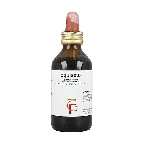 Horsetail Hydroalcoholic Solution 100 ml