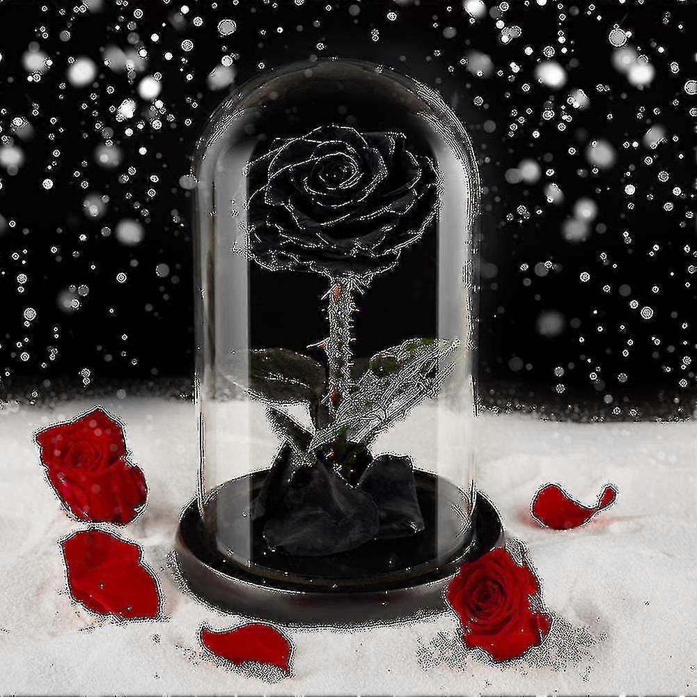 Hotselling Preserved Real Rose Eternal Rose In Glass Dome Gift For Her ...