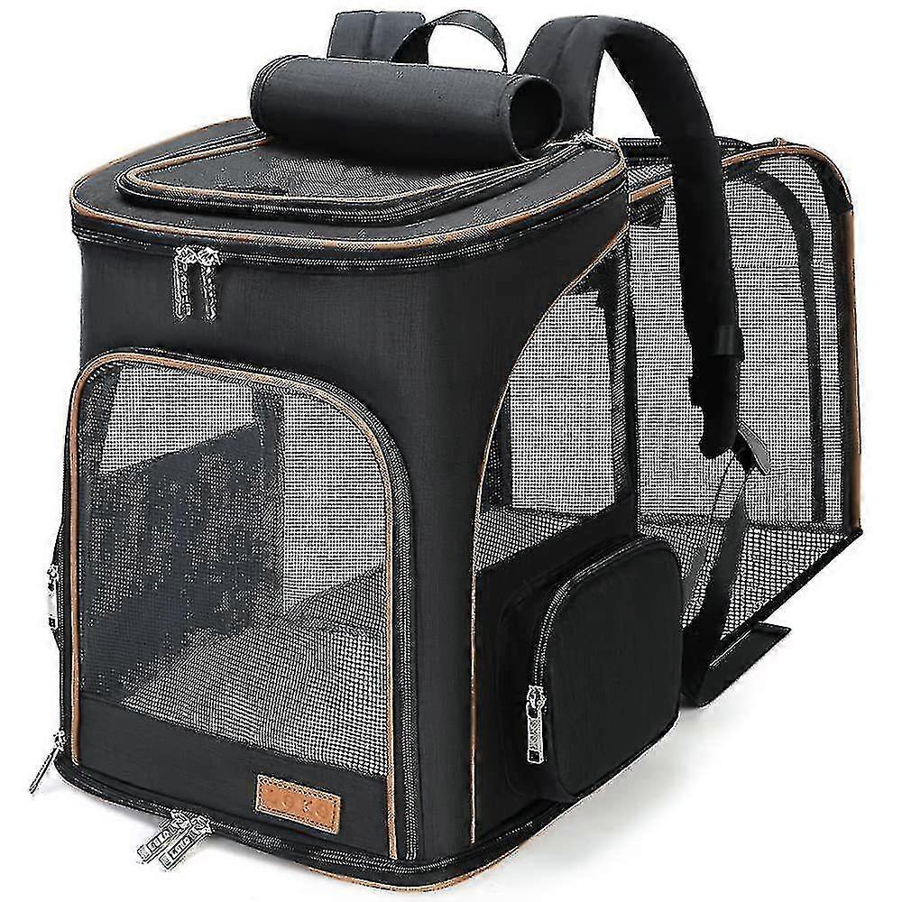 Cat Backpack Strap Dog Backpack Extensible Pet Strap Backpack pour petits chiens et chats