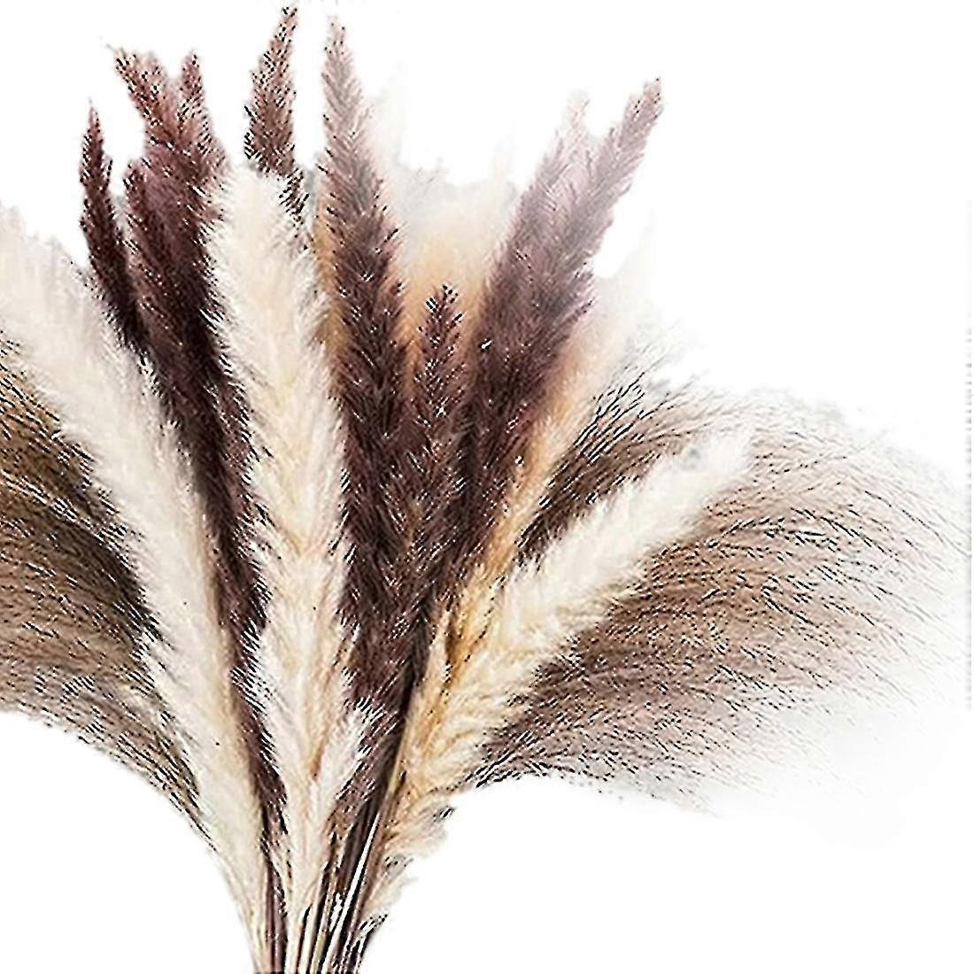 50 τμχ | Αποξηραμένο γρασίδι Pampas 18inch, Συμβατές Συνθέσεις Λουλουδιών Boho Wedding Home Decor-xdd