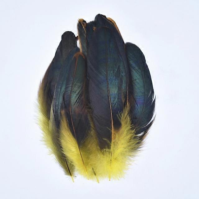 50pcs /Lot Colorful Rooster Feathers For Crafts Chicken Decoration For Needlework And Handicrafts Carnival Diy Accessories Plumes