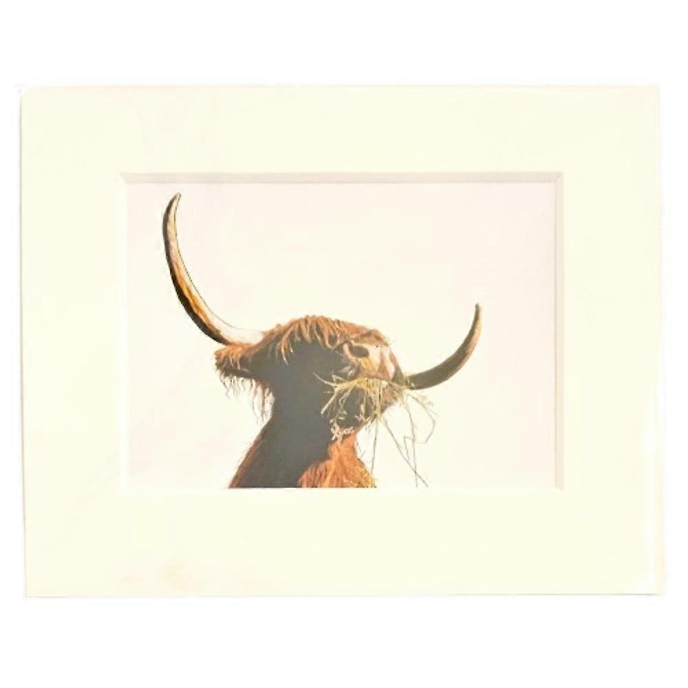 "Hamish" Highland Cow Print 10" x 8" by Nick Field