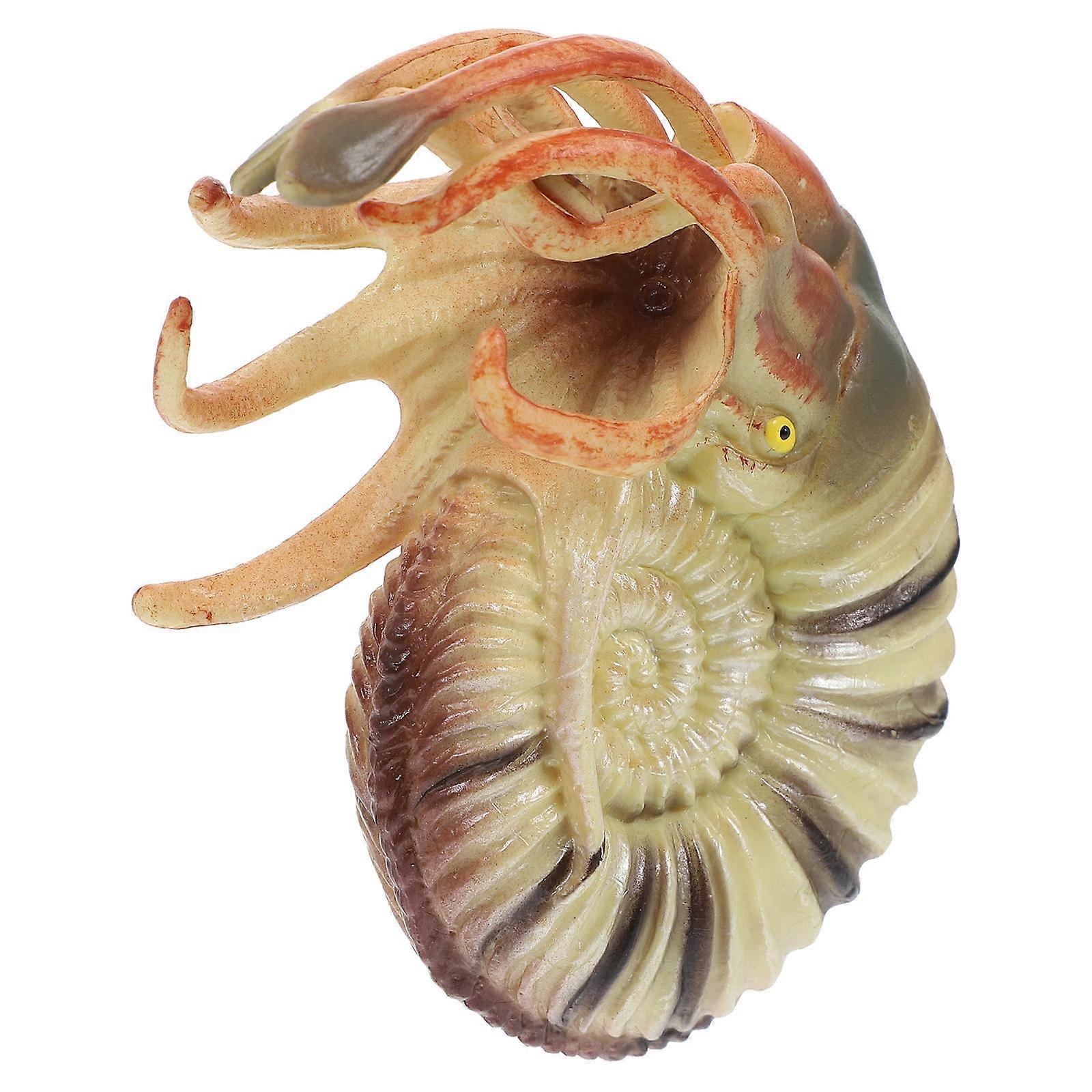 Ancient Sea Animal Nautilus Model Aquarium Decorative Multi-Colored 8.00x6.0gota0x2.50Cm 1Pack