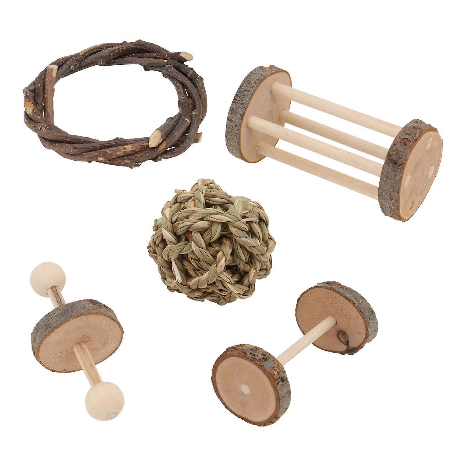Interactive Chew Toys for Pet Training and Entertainment