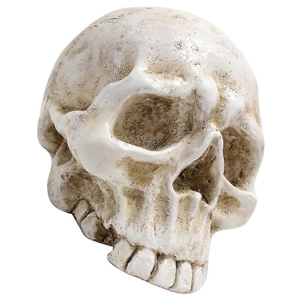 Realistic Resin Skull Ornament, Lightweight Scary Skull Decoration for Halloween, Home Decor, Parties, and Themed Events – Intricate Detailing, Photo