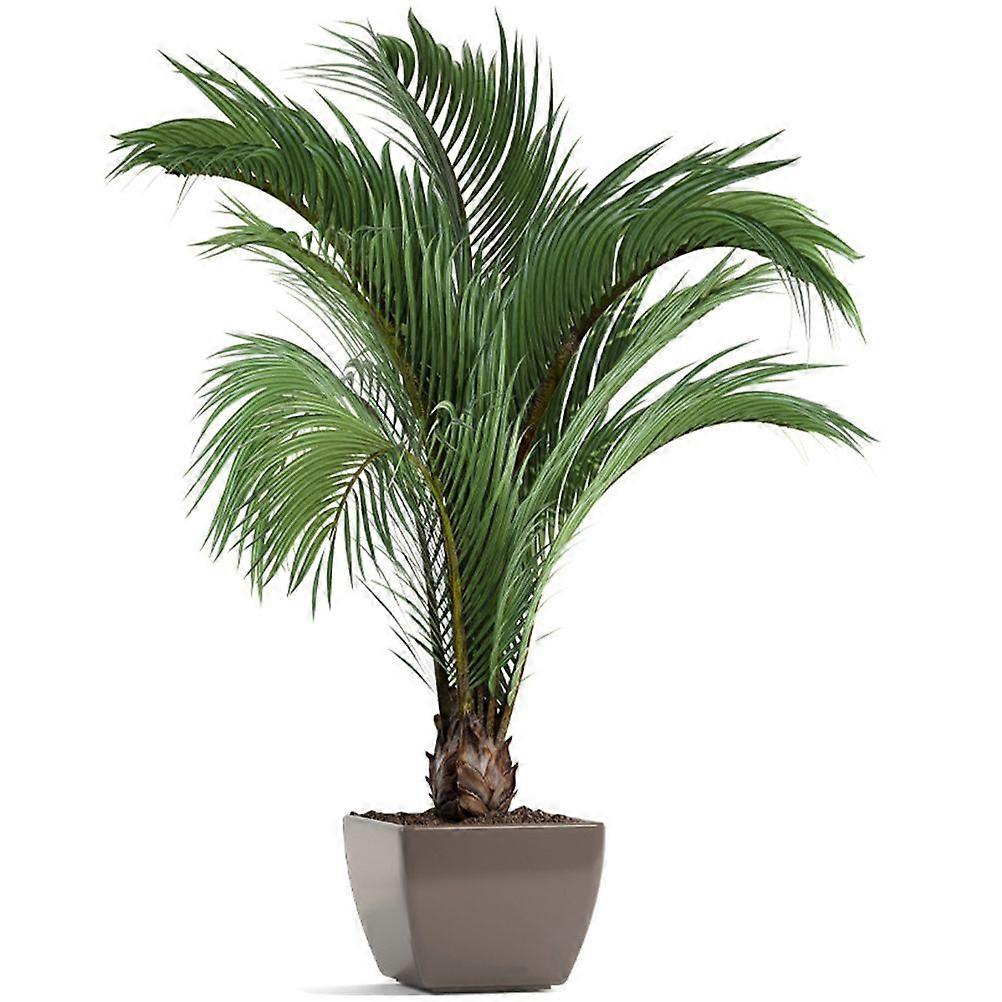 Wall Sticker Palm Tree Wall Decal Tropical Leaves Patterned Wall Sticker For Corridor