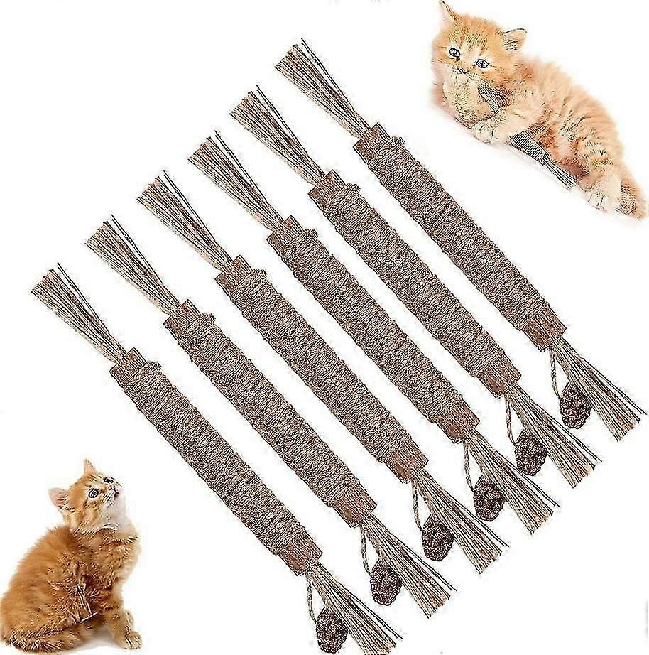 Pawlovers Kitty Dental Chew Stick, 2024 Best Natural Silvervine Sticks for Cats