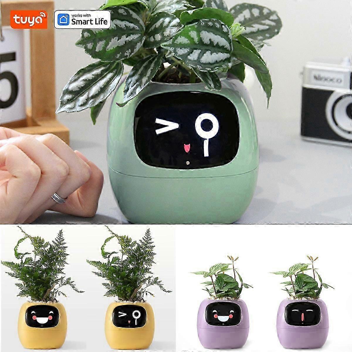 屋内での使用のための自動植物ケアを備えたTuya IoTスマートプランター
