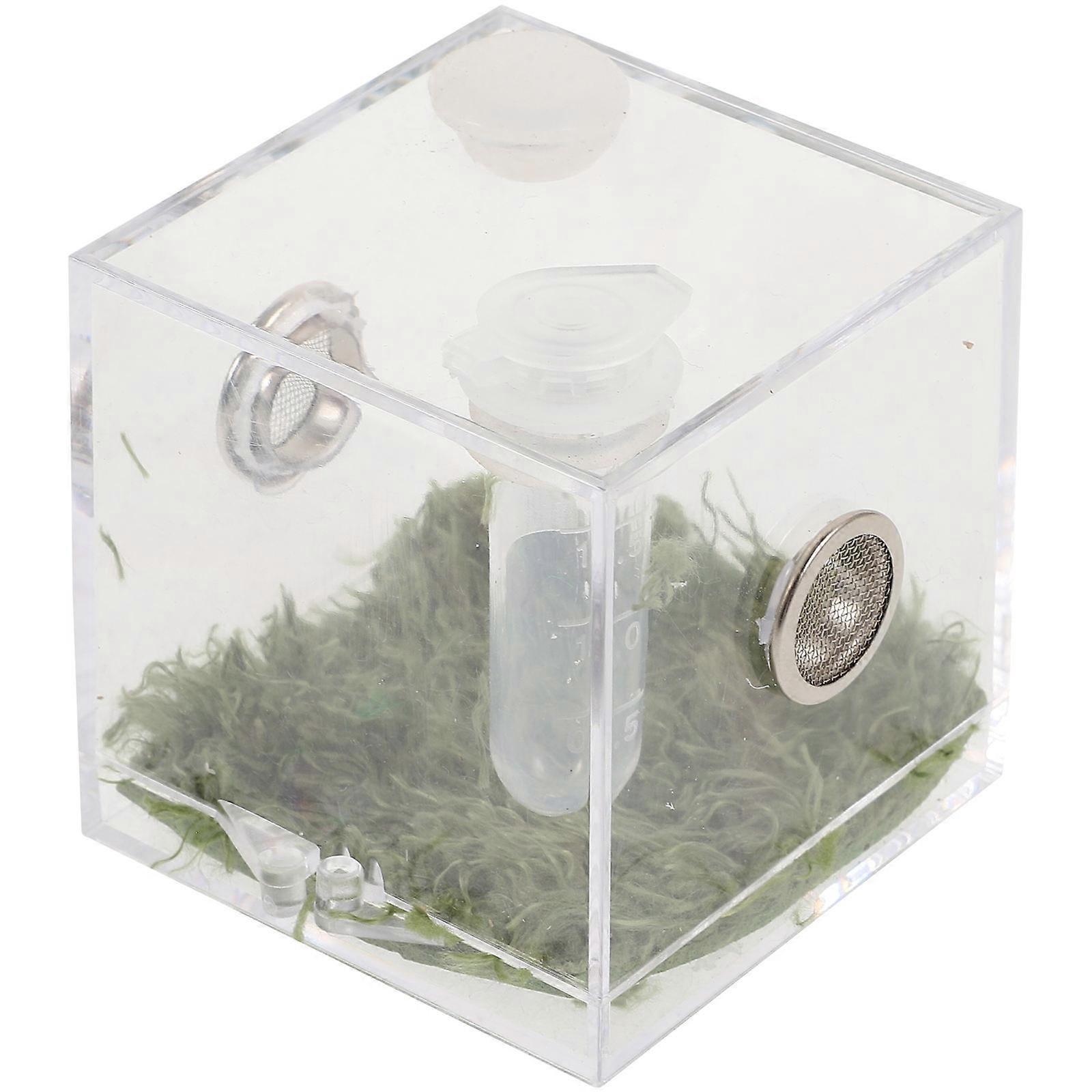 5 Sets Transparent Insect Box 5Pcs Square Breeding Habitat For Small Reptiles And Bugs