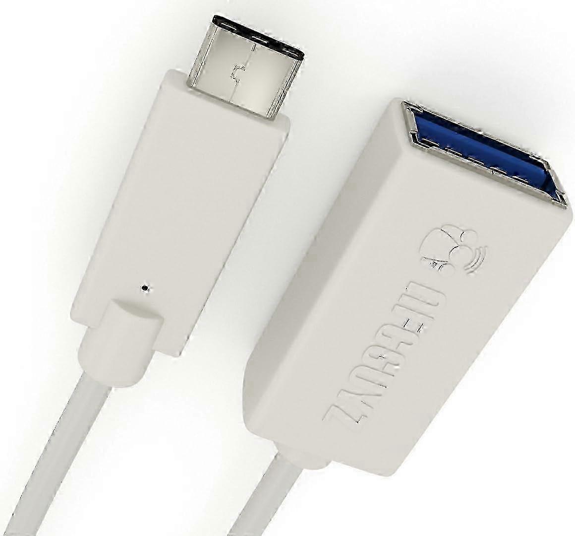 USB C 3.1 Adapter Long White USB Adapter For Macbook Chrome Pixel From 3.3 FT USB 3.1 Type C Highest Speed 10Gbps 100W Power WHITE 2025