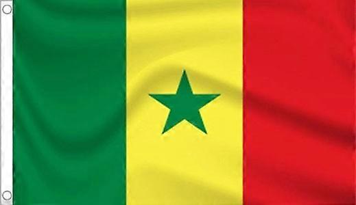 DRAPEAU DU SÉNÉGAL Drapeau sénégalais HGD672