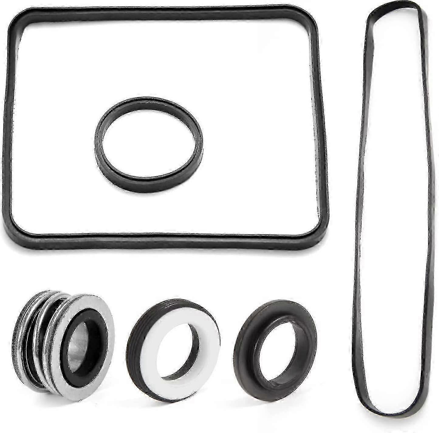 Hayward Super Pump O-Ring Rebuild Kit