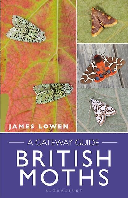British Moths by James Lowen Spiral bound Book