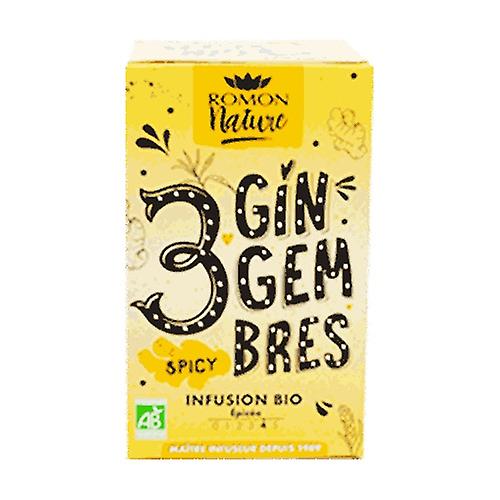 Pleasure infusion 3 organic ginger 28,8 g