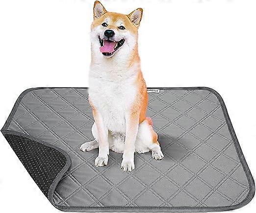 2-Pack Reusable Puppy Pads, Highly Absorbent, Senior Dog Incontinence Mattress, Waterproof Bottom, Non-Slip Dog Training Whiplash Pad, Washable Cat G