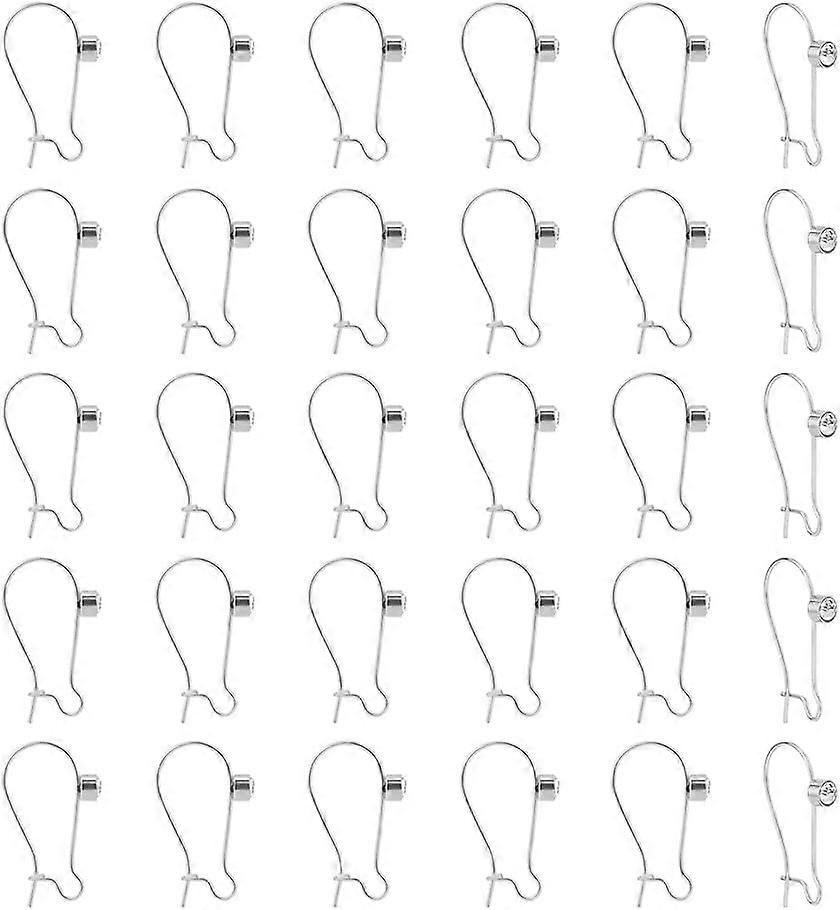 30Pcs 24mm Long 304 Stainless Steel Hoop Earrings Findings Ear Wires with Clear Cubic Zirconia French Earring Hooks with Horizontal Loops Dangle Earri