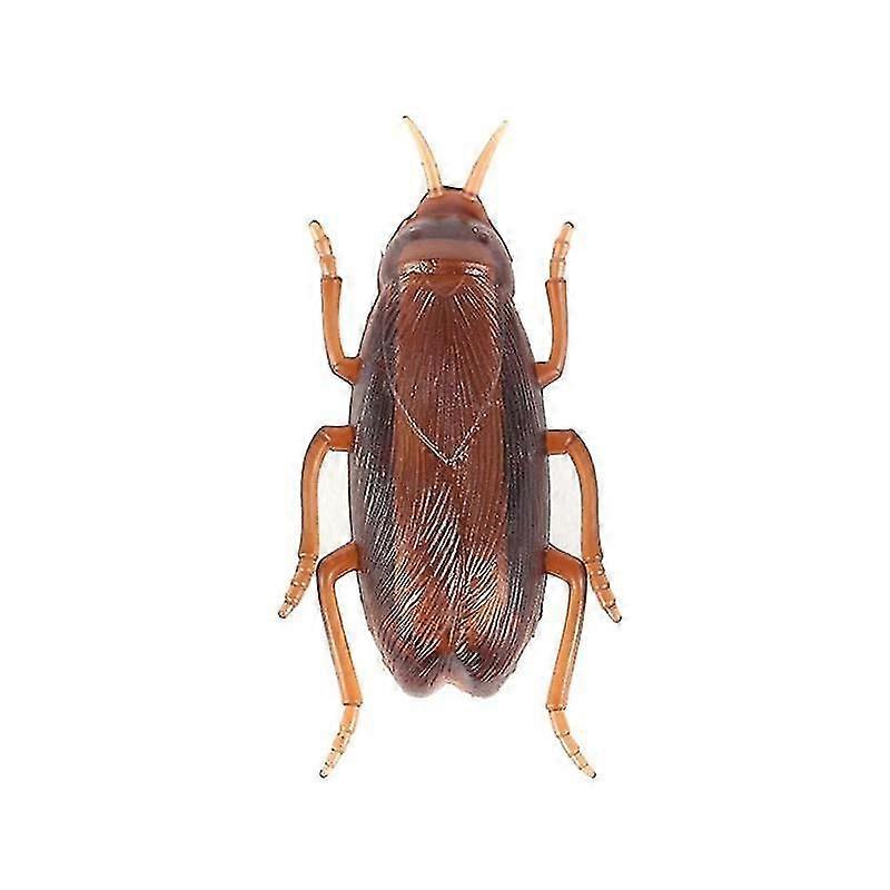 Dog-Cat Interactive Electronic Cockroach Intelligence Activity