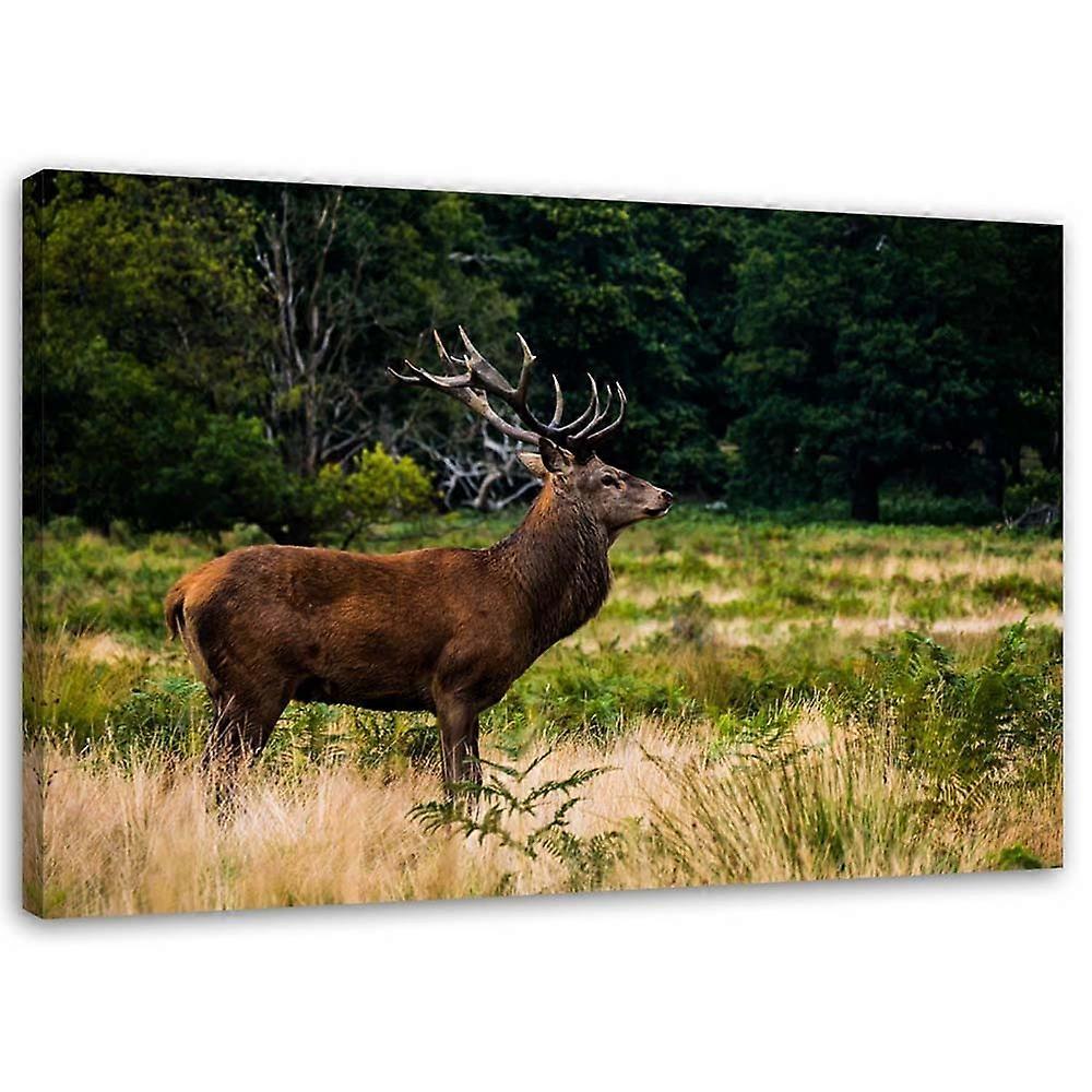 Lienzo, Ciervo rugiendo - 120x80