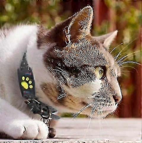 Smart GPS Tracker Collar For Cats And Dogs Real Time Location Tracking Waterproof YKC Brand