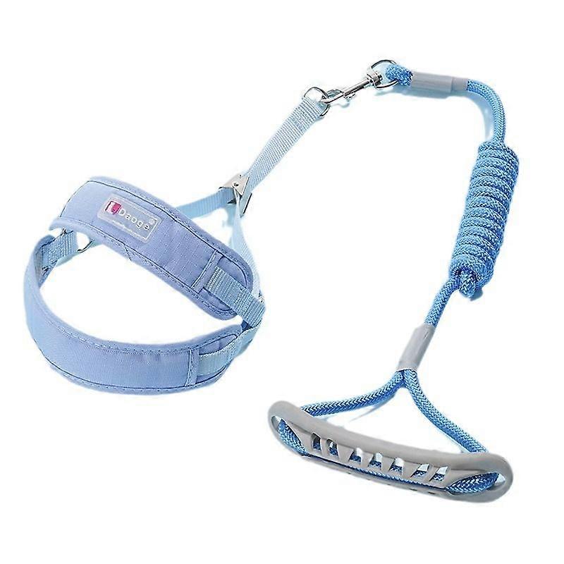 Dog Harness with Leash: Breathable Pet Traction Rope for Small Dog Adjustable Chest Strap for Walking Running and Training