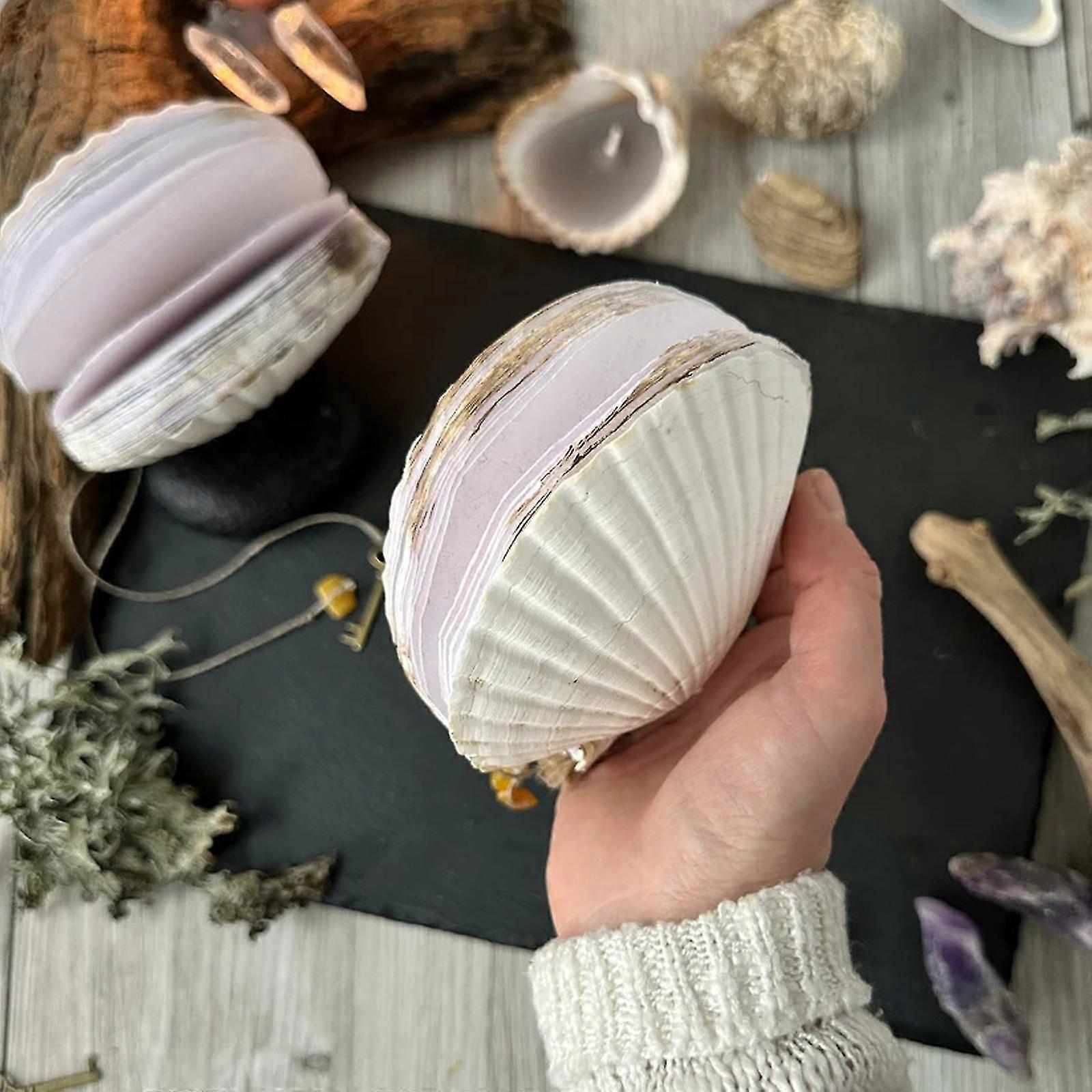 アワビの殻/ライオンの足の殻/ホタテの貝殻ジャーナル、ユニークなプレミアムハードカバーオーシャンシリーズ付箋メモ帳、天然の貝殻テクスチャクリエイティブスケッチブー