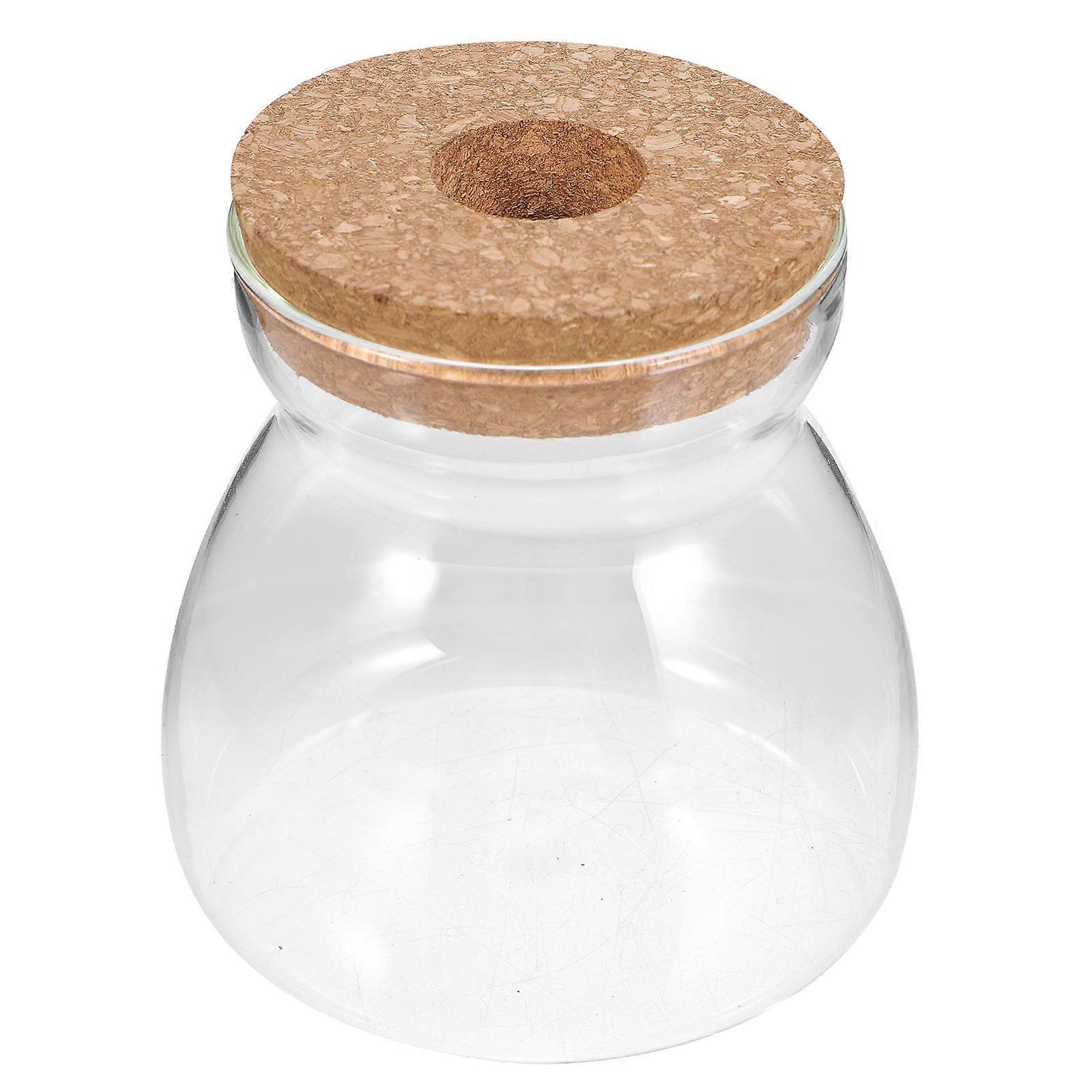 Terrarium Jar Glass Container for Hydroponic Plants 2Pcs Transparent