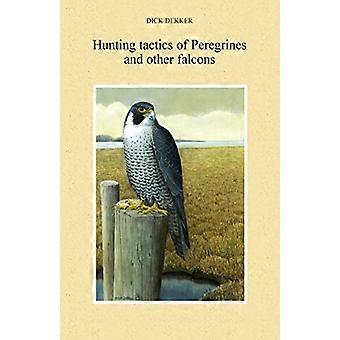 Jakttaktik av peregrines och andra falkar