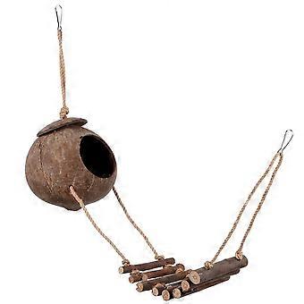Grotta decorativa per rettili, disponibile in vari colori, con scaletta inclusa.