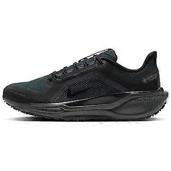 Nike Air Zoom Pegasus 41 Gore Tex Zwart FQ1356-001