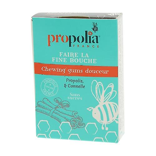 Propolis & cinnamon chewing gum 27 units