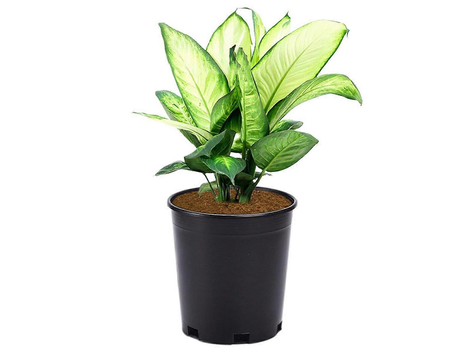 20Pcs Plant Flower Pots