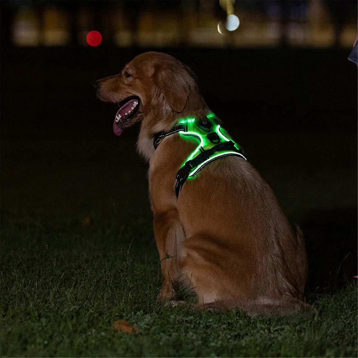 Luminous Pet Harness Luminous Dog Harness Adjustable Luminous Pet Chest Strap S