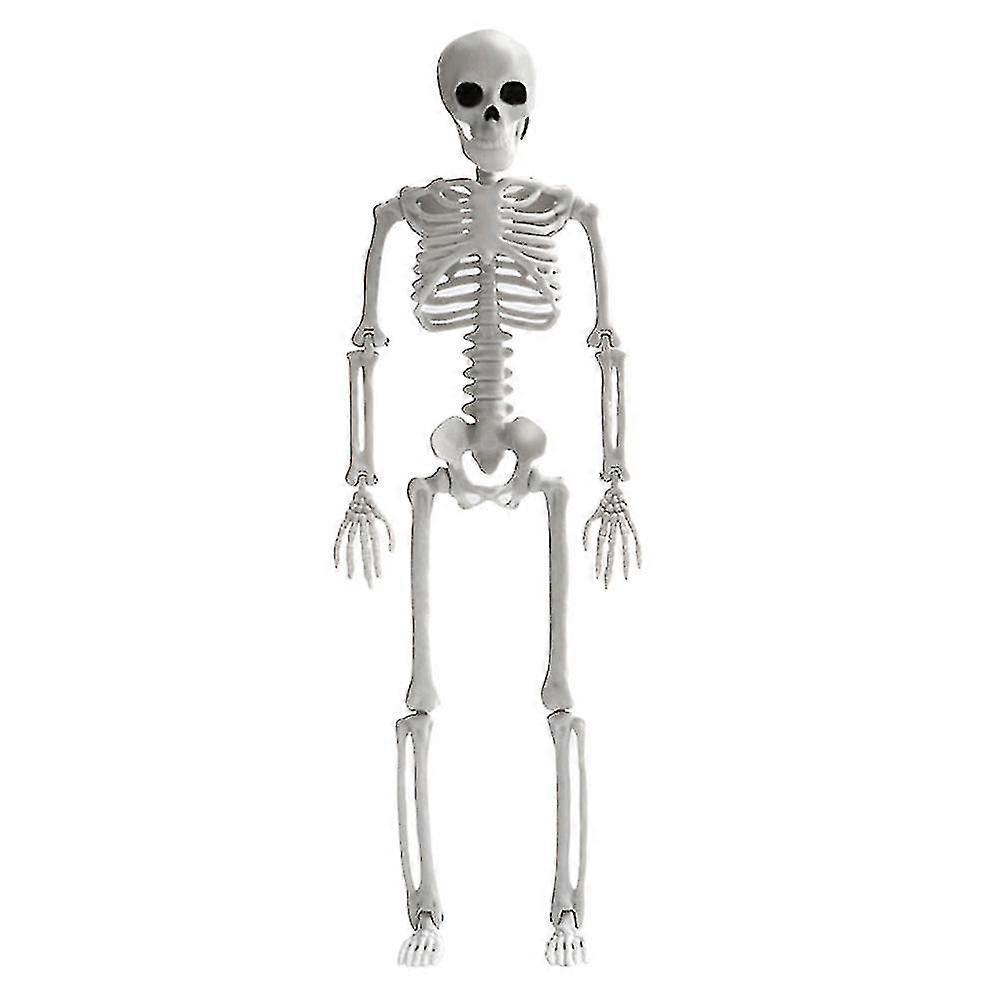 1pc Simuliertes Skelett Modell Lustiges Skelett Handwerk Halloween Layout Dekor Weiß