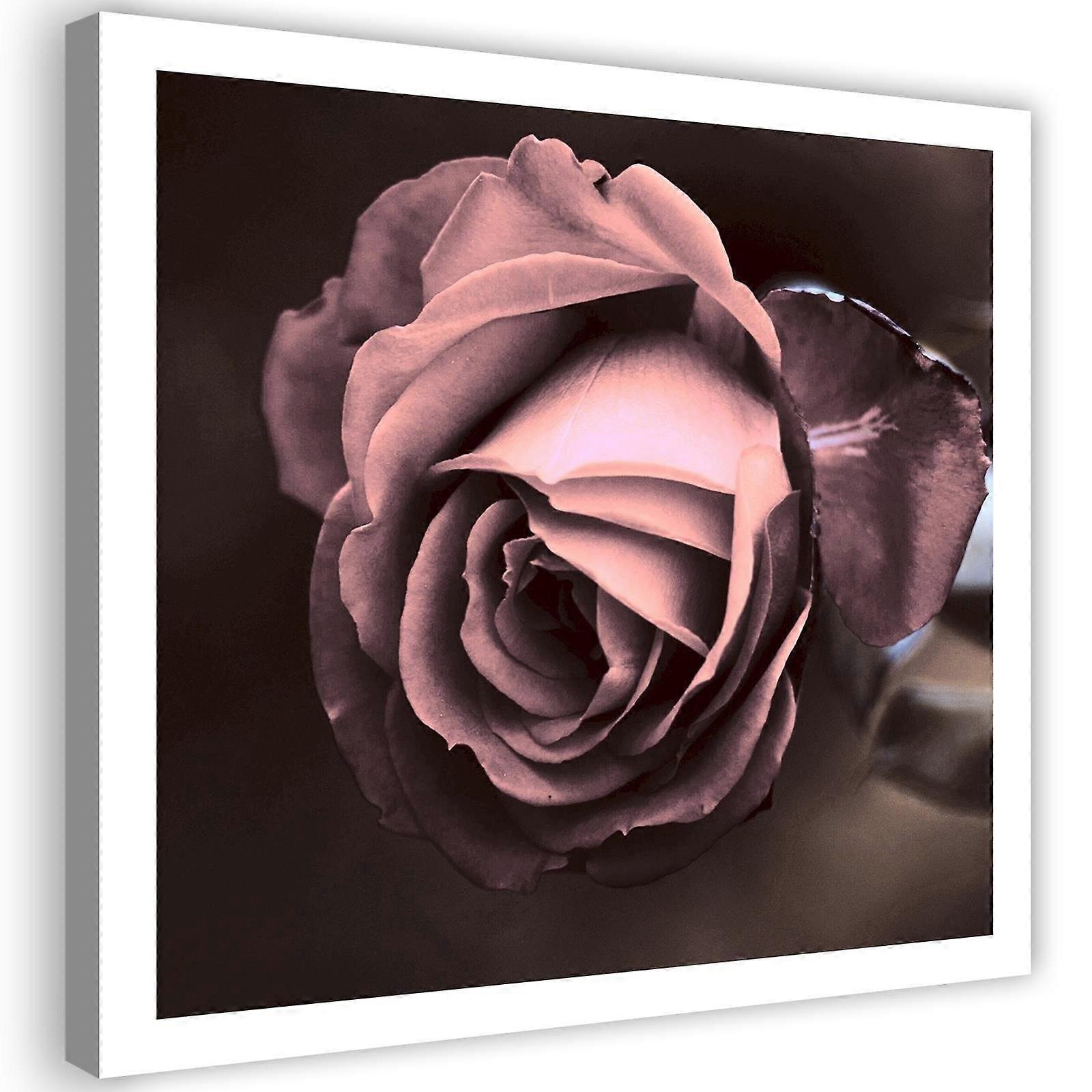 Impression sur toile, Belle fleur de rose - 60x60