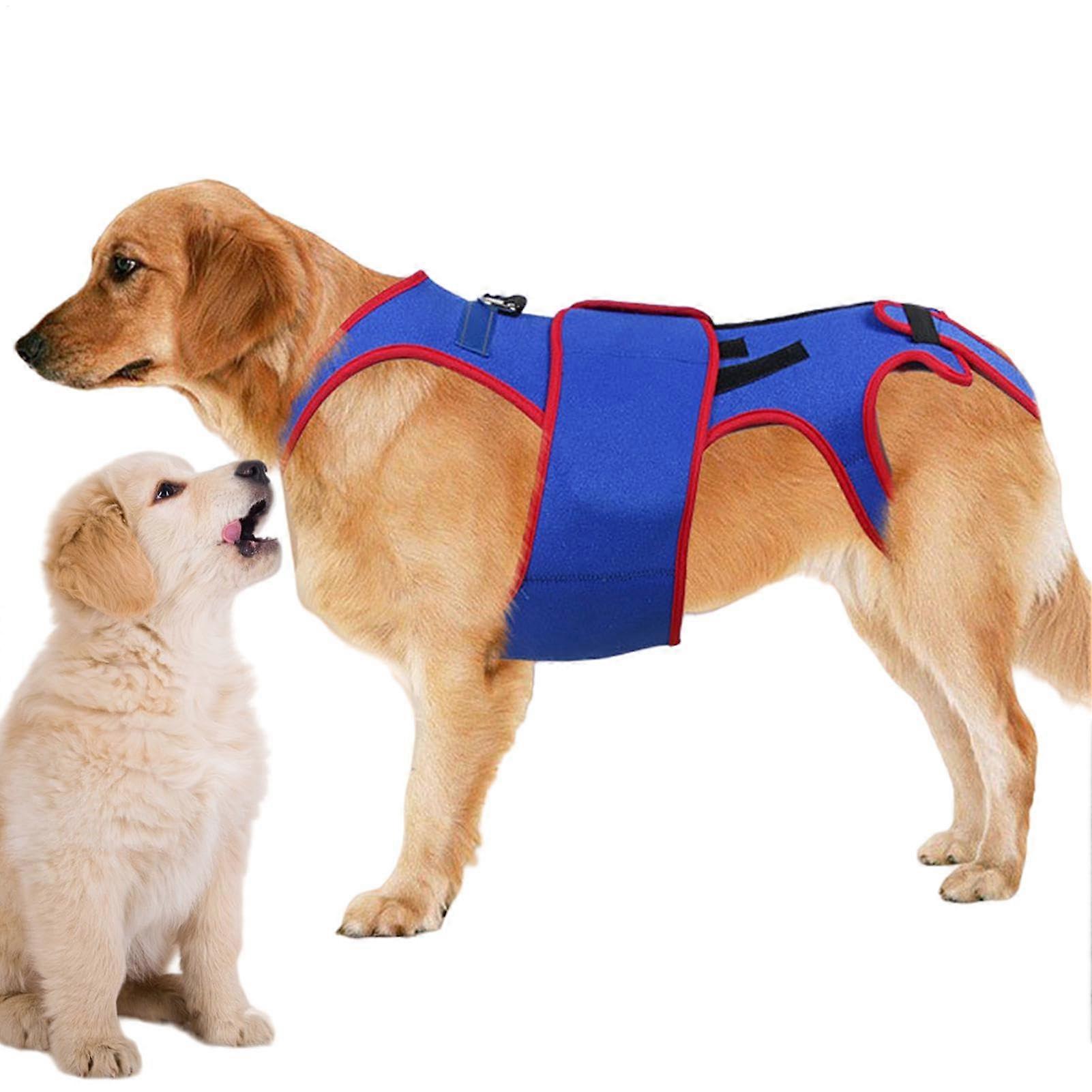 Back Support for Dogs – Support and Rehabilitation Harness for Pets, Dog Back Brace  Back Protector with DRing