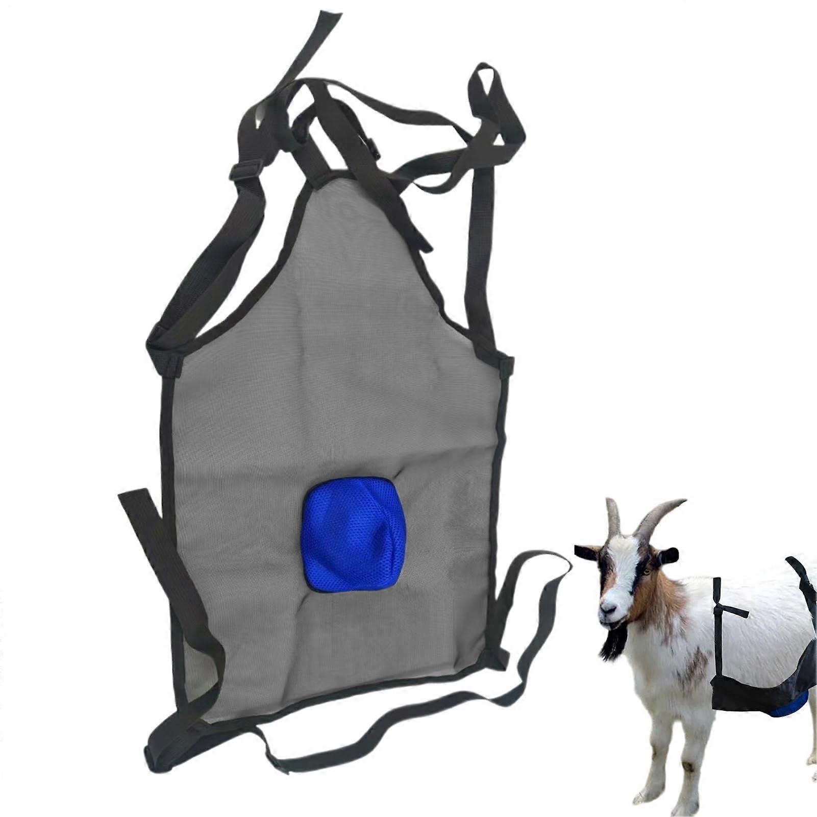Goat apron, breeding stop goat apron, farm accessory to prevent pet breeding, animal tool, horses, livestock, cows blue