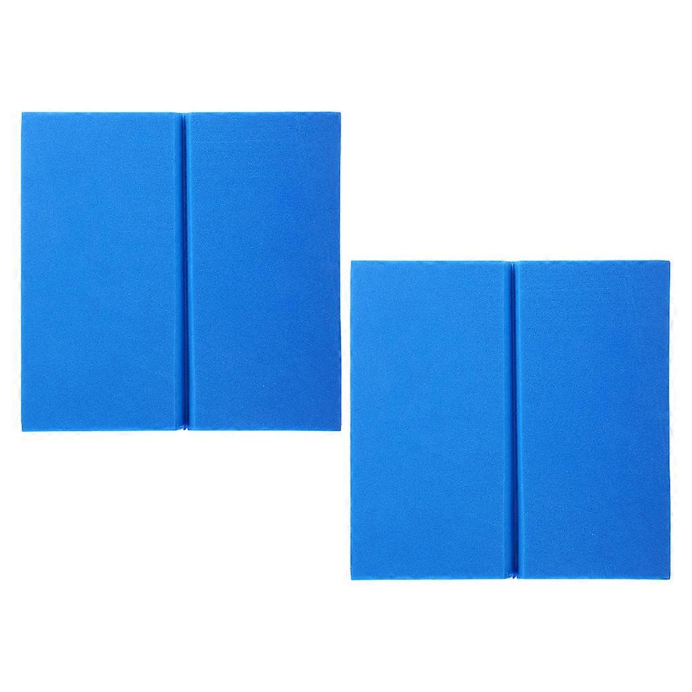 Science Classroom Insect Boards 2Pcs Ideal For Specimen Preparation Featuring Blue EVA Foam