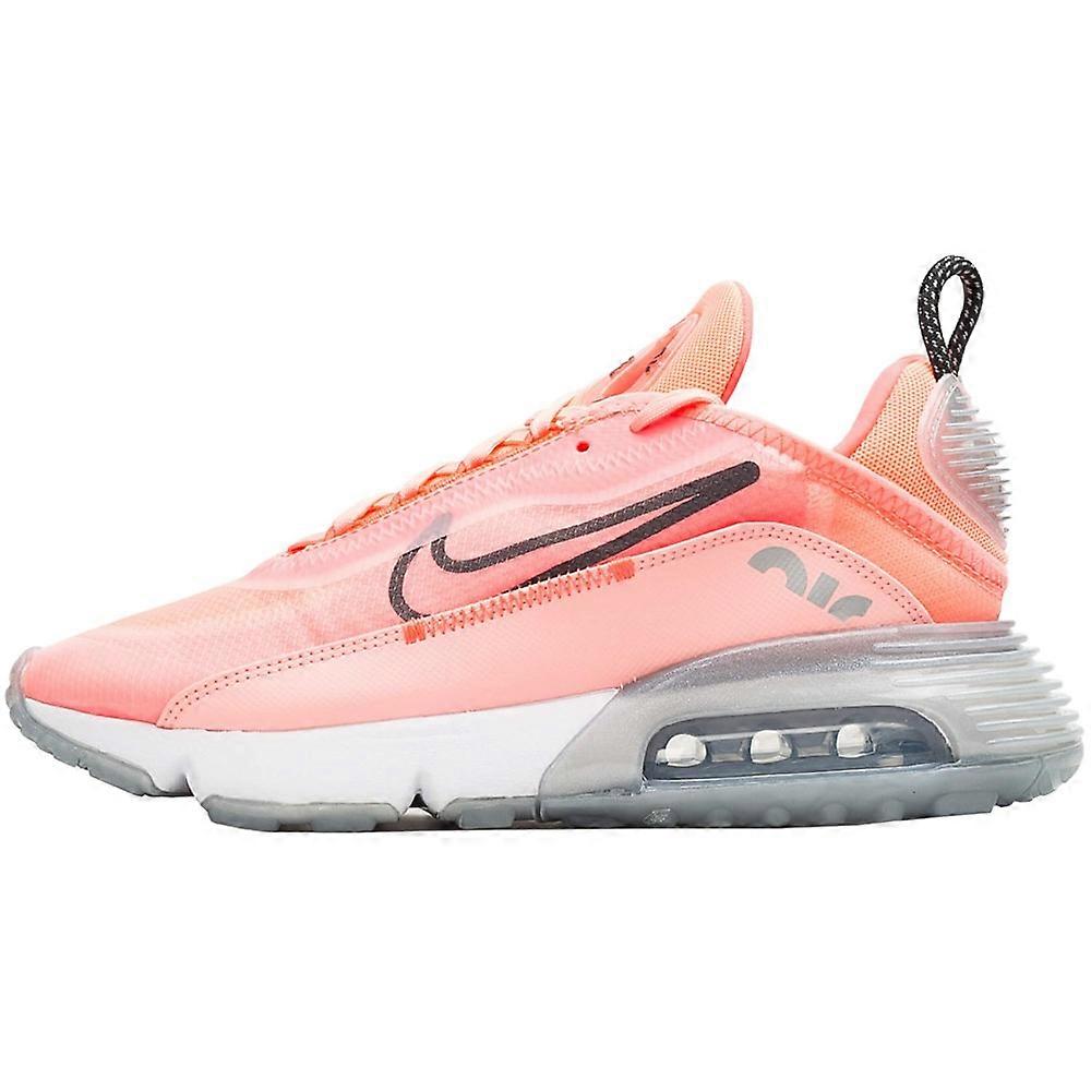 Nike Air Max 2090 CT7698600 universal all year women