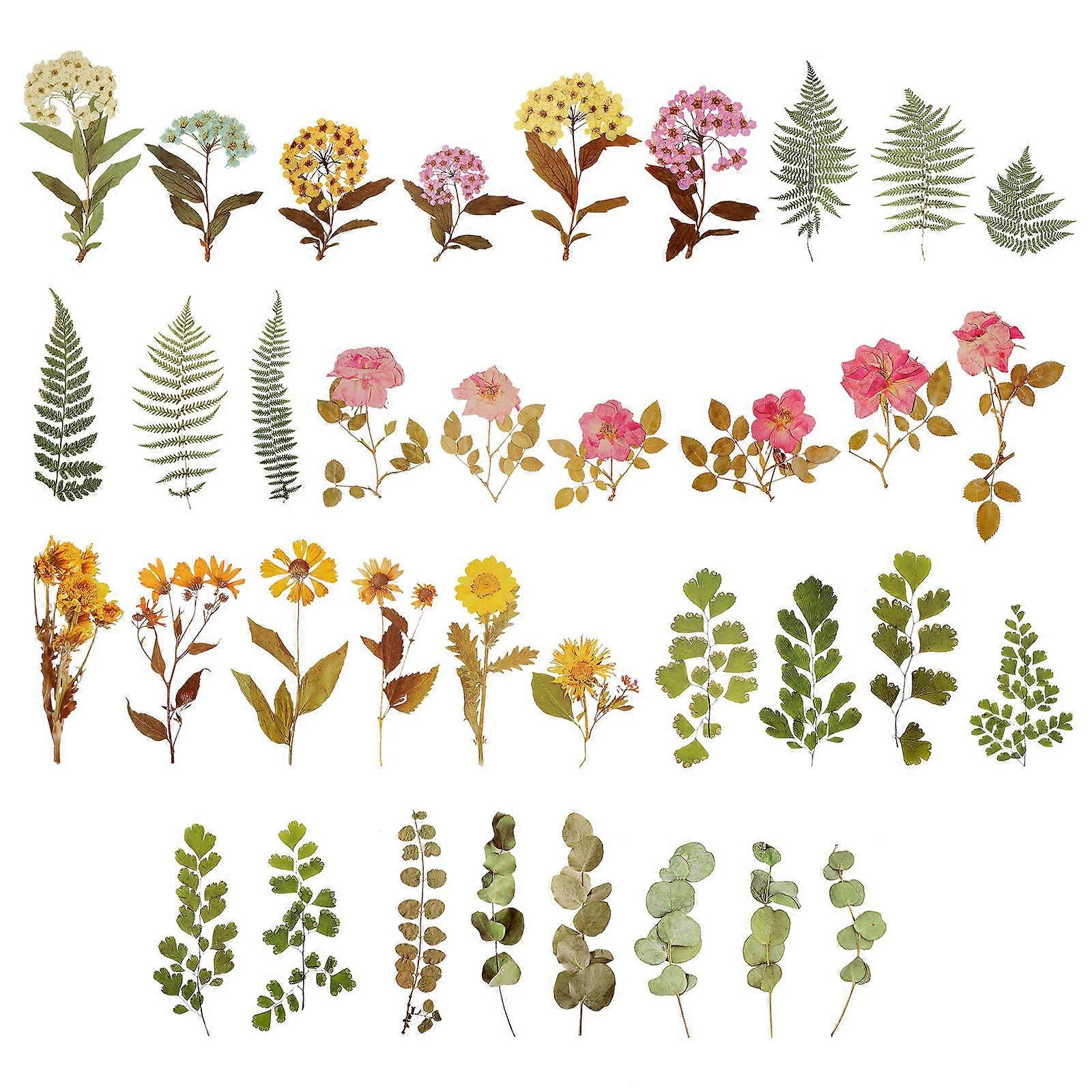 Delicate Pet Sticker Floral Designs for DIY Use 48Packs Assorted Colors