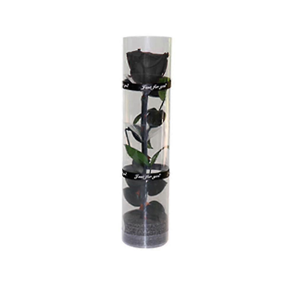 Véritable rose éternelle préservée durable à floraison éternelle
