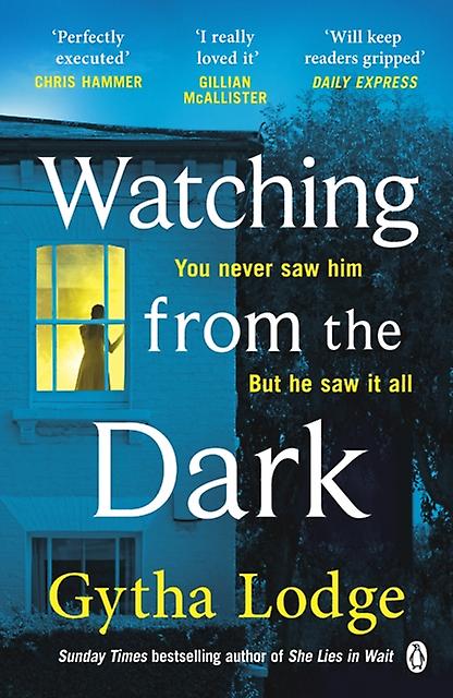 Watching From The Dark - Gytha Lodge