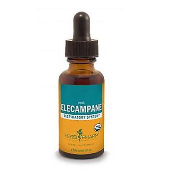 Herb Pharm Elecampane, 4 Oz (Pack of 1)