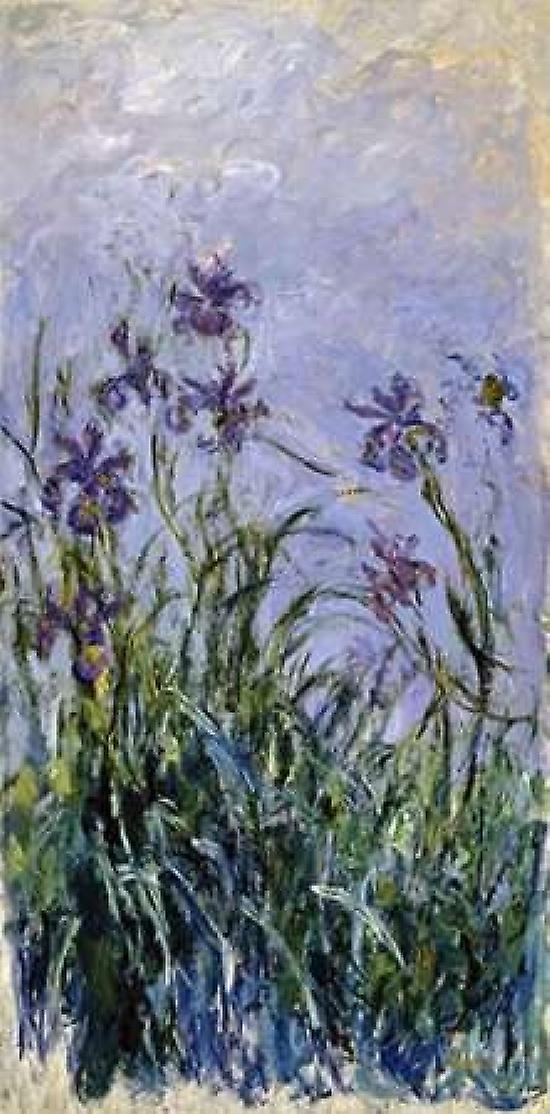 Iris mauves Poster