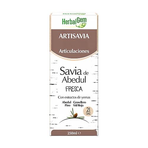Artisavia Bio Joints 250 ml