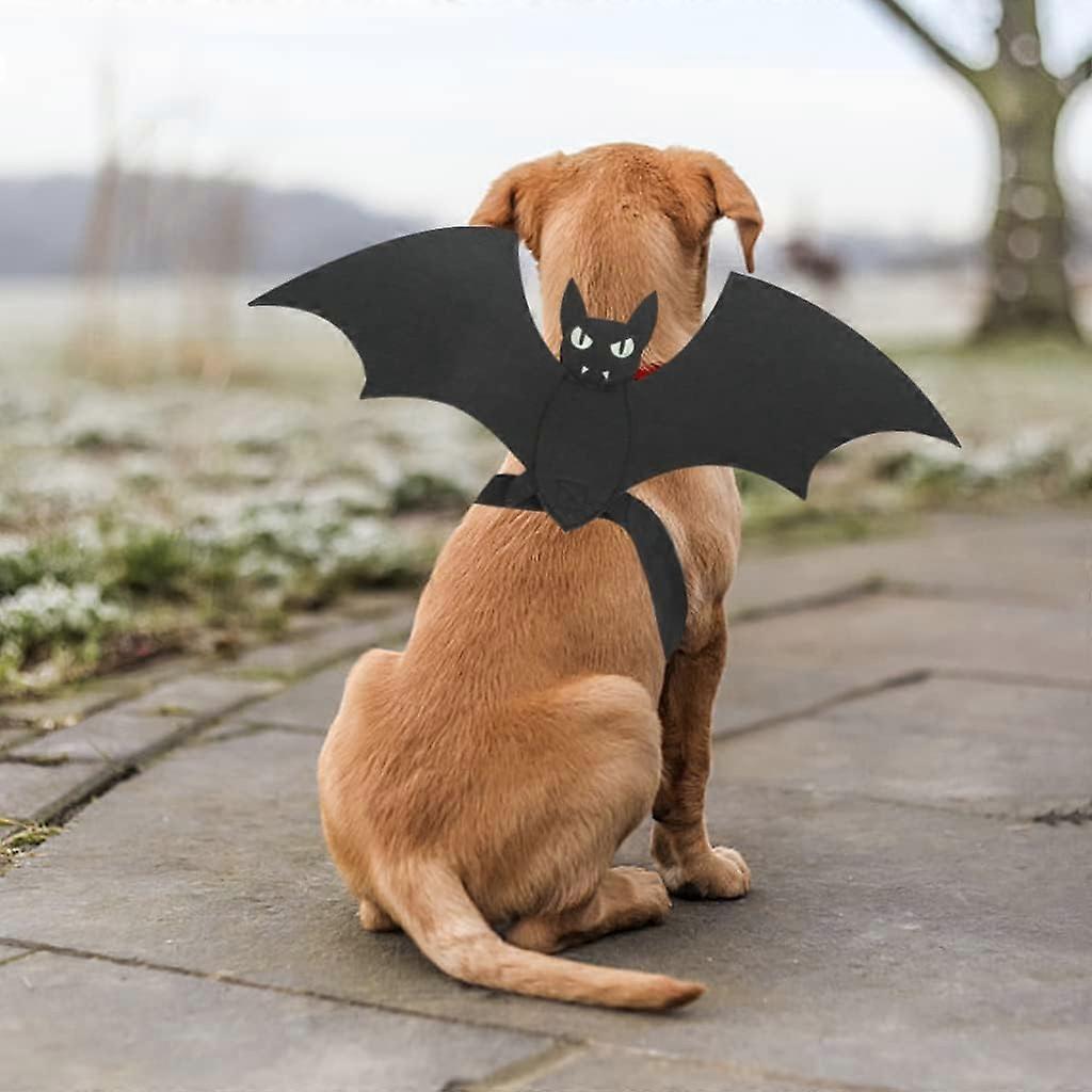 Dog Bat Costume, Halloween Pet Costume Bat Wings Cosplay Dog Costume Cat Costume for Party (M)