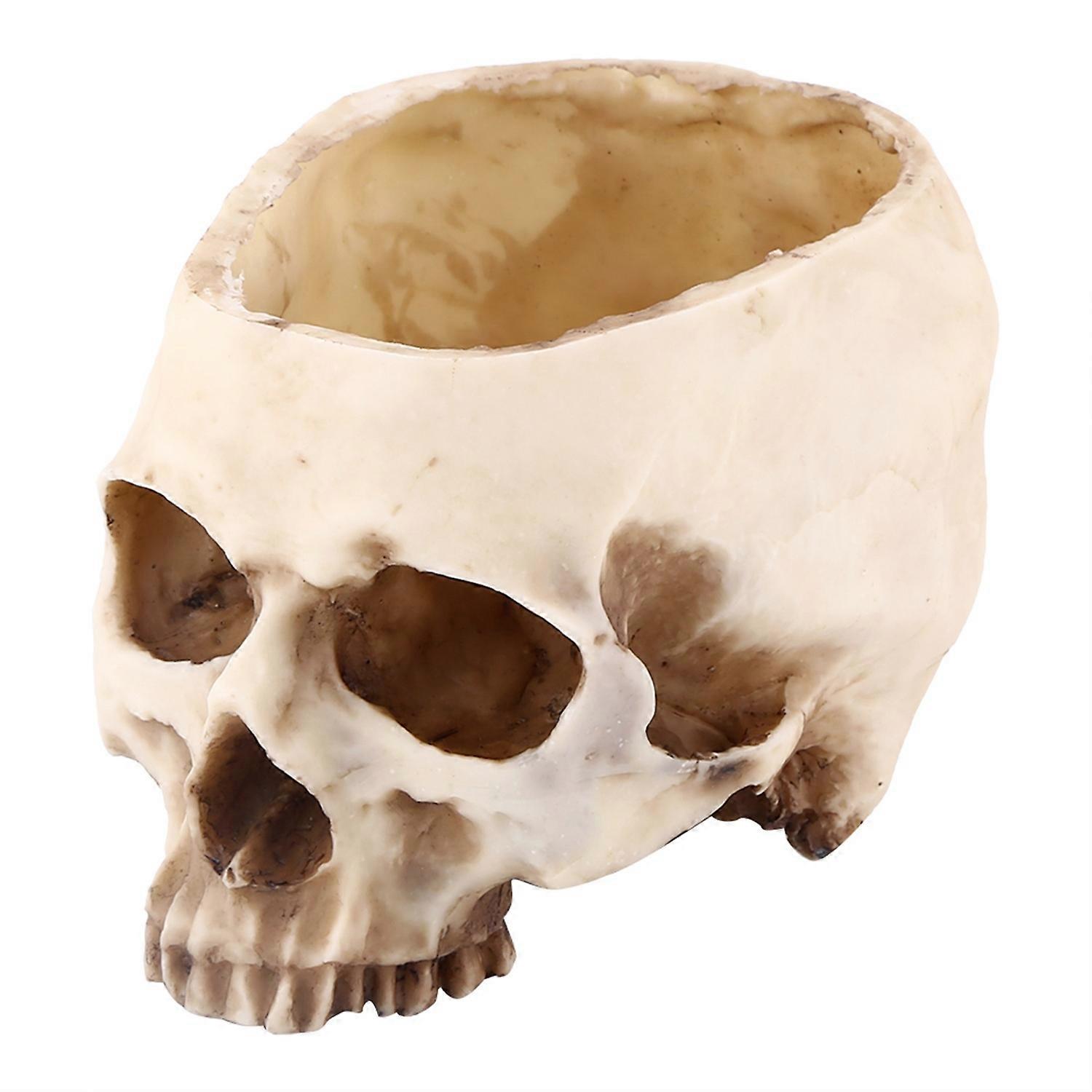 1pc Resin Skull Head Design Flower Pot Planter Container Decoration