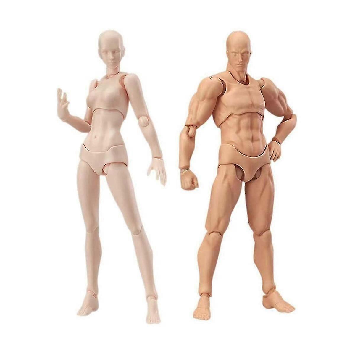 Kropp Docka, Konstnärer Docka Blockhead Jointed Skyltdocka Ritning Figurer Man + Kvinnlig Set (Hudfärg)-Bra