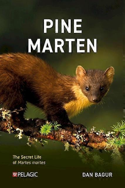 Pine Marten by Dan Bagur Paperback Book