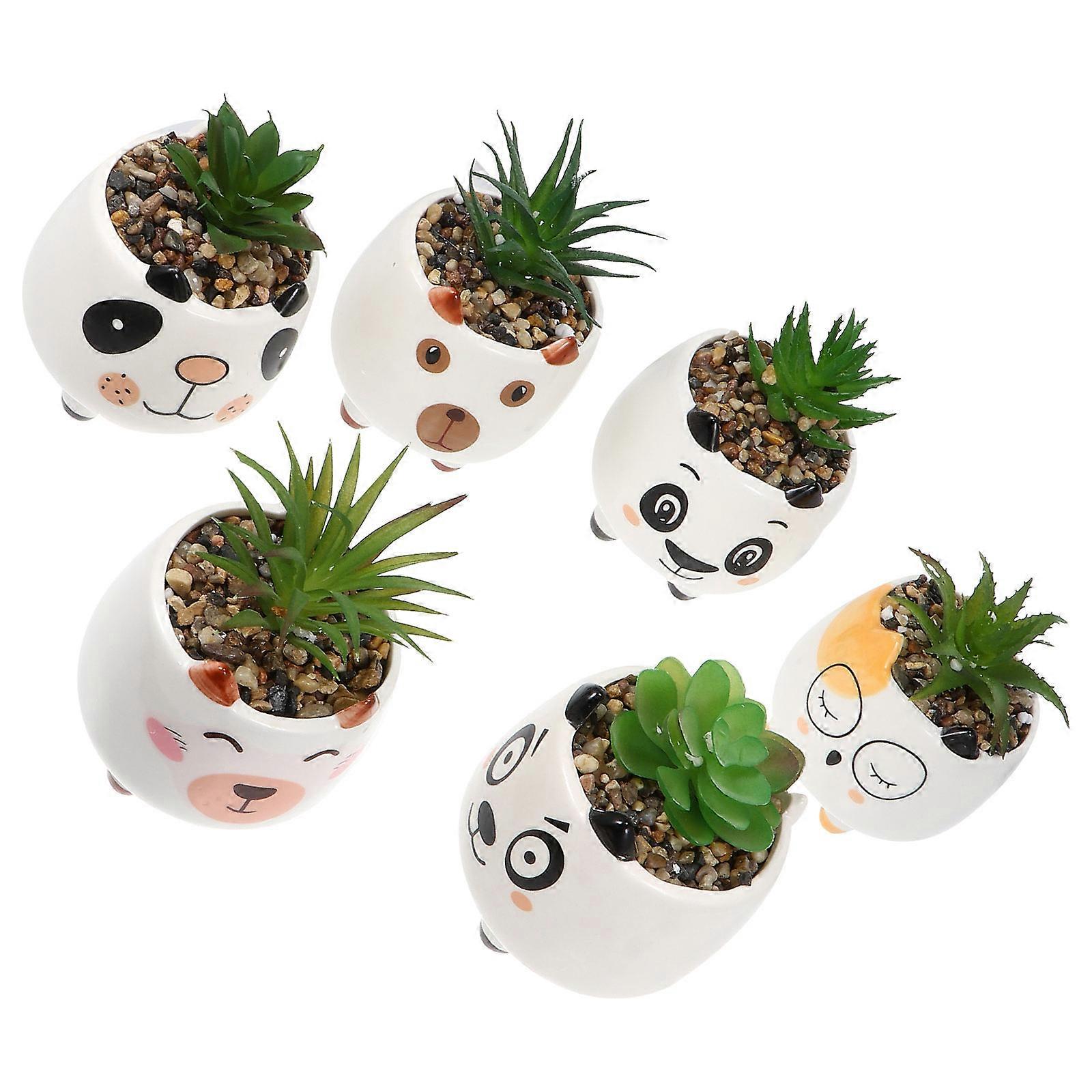 Succulent Plant Adornment, Material, Suitable for Home and Office Use